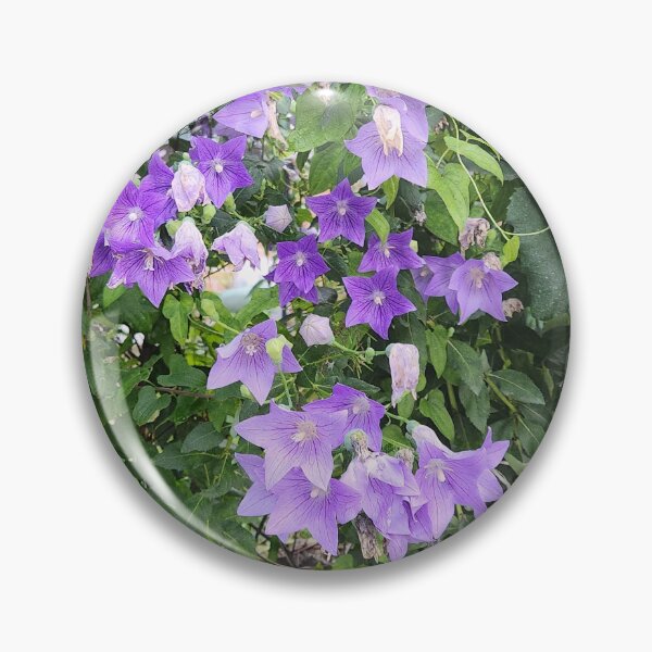 Item preview, balloon flower designed and sold by Sevenclover.