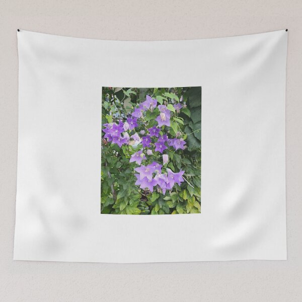 Item preview, balloon flower designed and sold by Sevenclover.