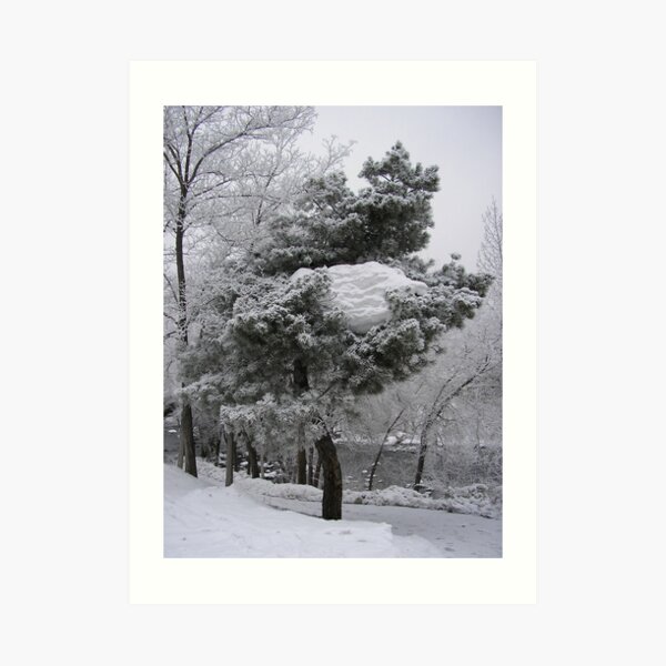 Tree Glacier Art Print