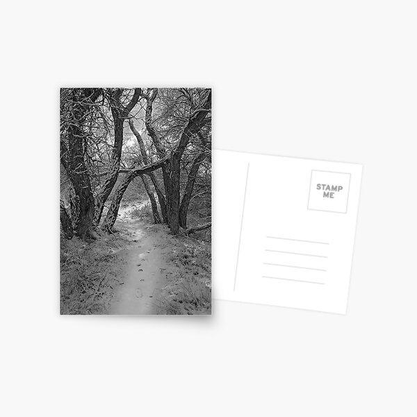 Secret Path Postcard
