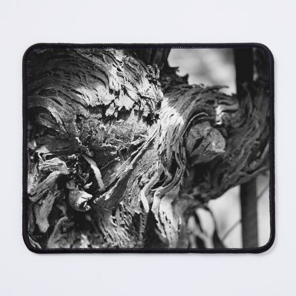 Item preview, Swirls of the vine bark designed and sold by colliophoto.