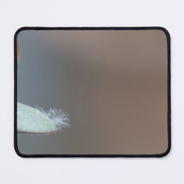 Item preview, Money tree leaf designed and sold by Calidris Fotografie Steffi & Ben Köppler.