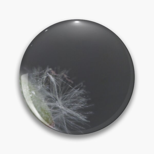 Item preview, Money tree leaf designed and sold by Calidris Fotografie Steffi & Ben Köppler.