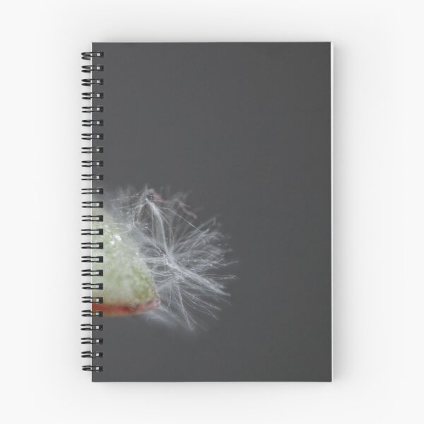 Item preview, Money tree leaf designed and sold by Calidris Fotografie Steffi & Ben Köppler.