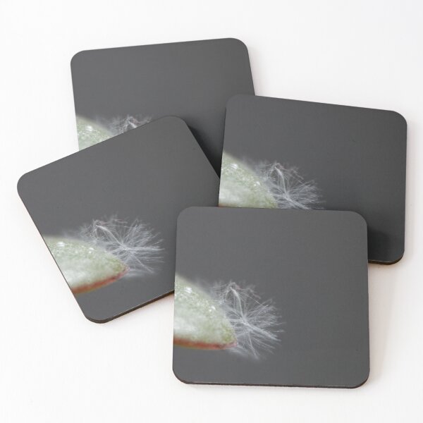Item preview, Money tree leaf designed and sold by Calidris Fotografie Steffi & Ben Köppler.