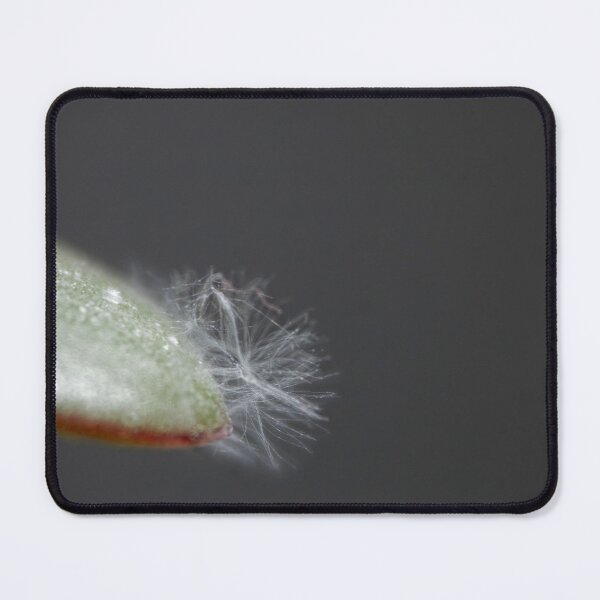Item preview, Money tree leaf designed and sold by Calidris Fotografie Steffi & Ben Köppler.
