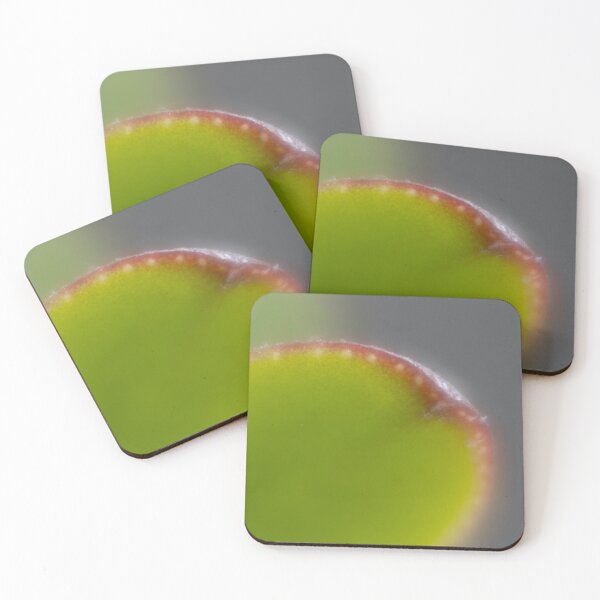 Item preview, Money tree designed and sold by Calidris Fotografie Steffi & Ben Köppler.