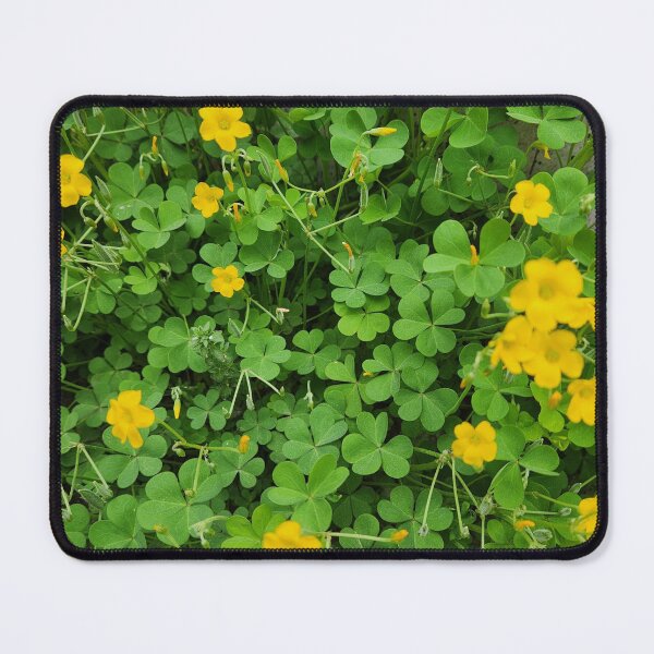 Item preview, Three-leaf clover designed and sold by Sevenclover.