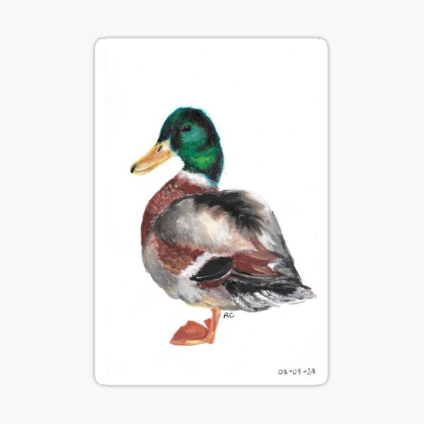 Item preview, Mallard Duck designed and sold by RCartist26.