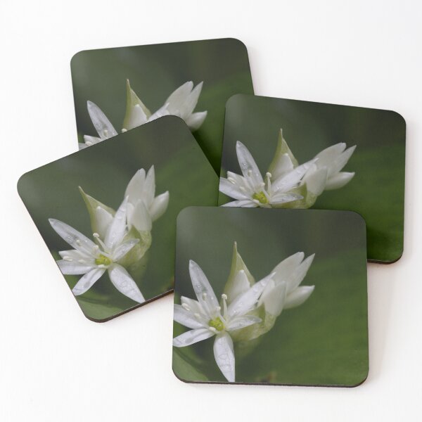 Item preview, wood garlic designed and sold by Calidris Fotografie Steffi & Ben Köppler.