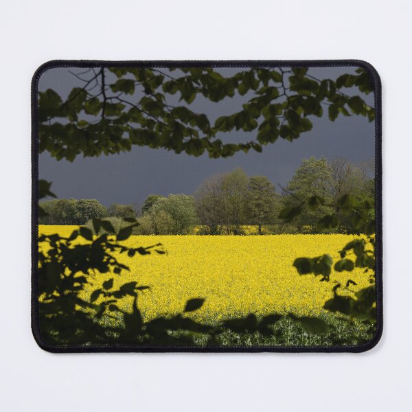 Item preview, Rapeseed field designed and sold by Calidris Fotografie Steffi & Ben Köppler.