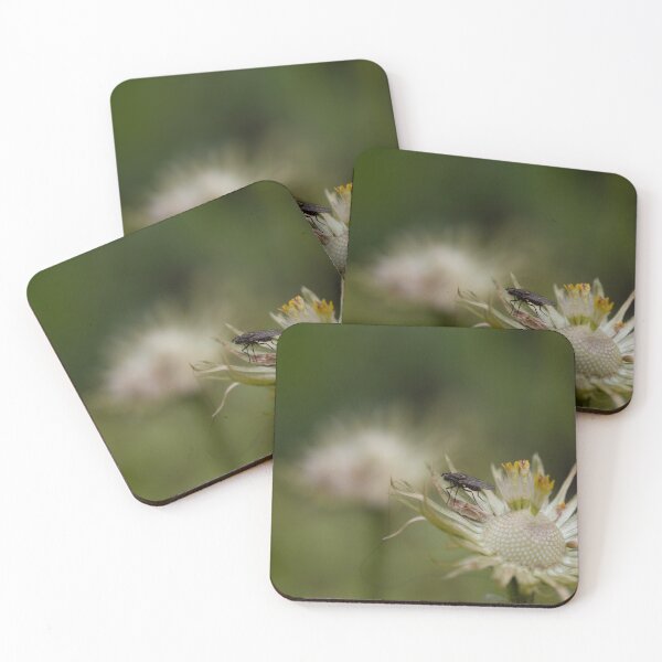 Item preview, Fly on a Flower designed and sold by Calidris Fotografie Steffi & Ben Köppler.