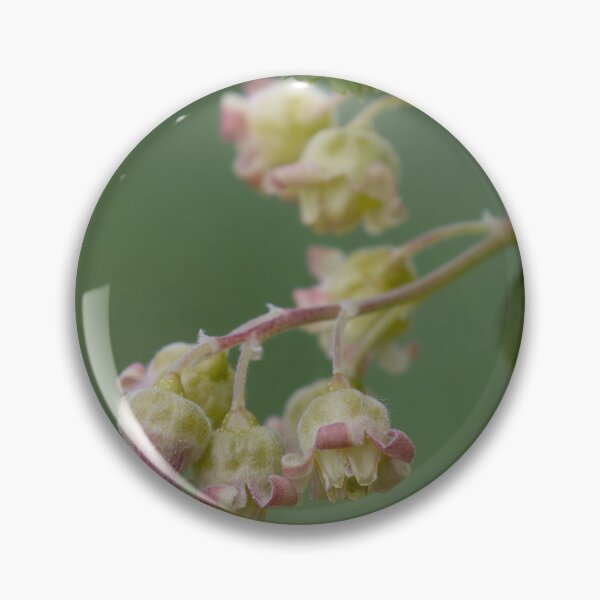 Item preview, Black currant designed and sold by Calidris Fotografie Steffi & Ben Köppler.