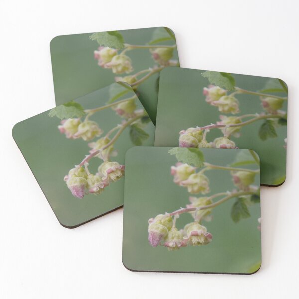 Item preview, Black currant designed and sold by Calidris Fotografie Steffi & Ben Köppler.