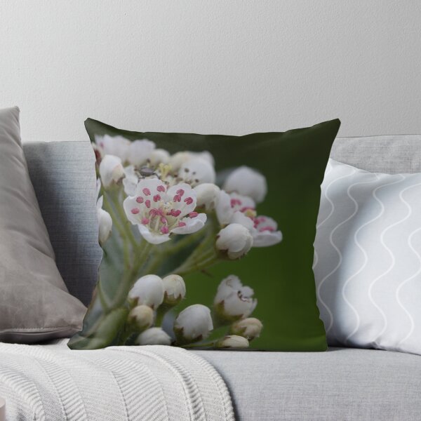 Item preview, Aronia blossom designed and sold by Calidris Fotografie Steffi & Ben Köppler.