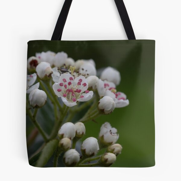 Item preview, Aronia blossom designed and sold by Calidris Fotografie Steffi & Ben Köppler.