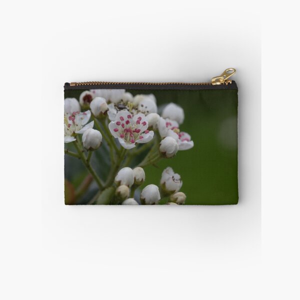 Item preview, Aronia blossom designed and sold by Calidris Fotografie Steffi & Ben Köppler.