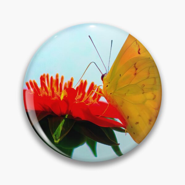 Item preview, ORANGE-BARRED SULFER designed and sold by adumont1.