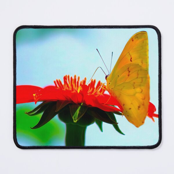 Item preview, ORANGE-BARRED SULFER designed and sold by adumont1.