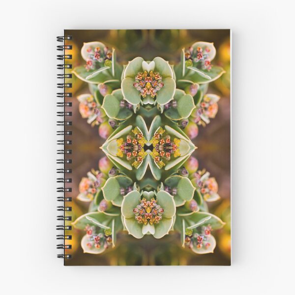 Item preview, Fynbos Mandala designed and sold by ColinAronStudio.
