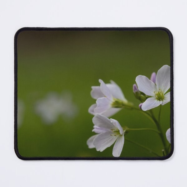 Item preview, Mayflower designed and sold by Calidris Fotografie Steffi & Ben Köppler.