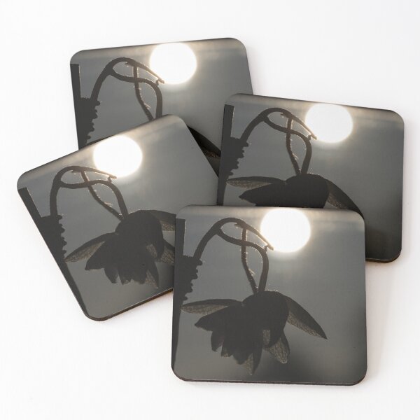 Item preview, Orchid designed and sold by Calidris Fotografie Steffi & Ben Köppler.