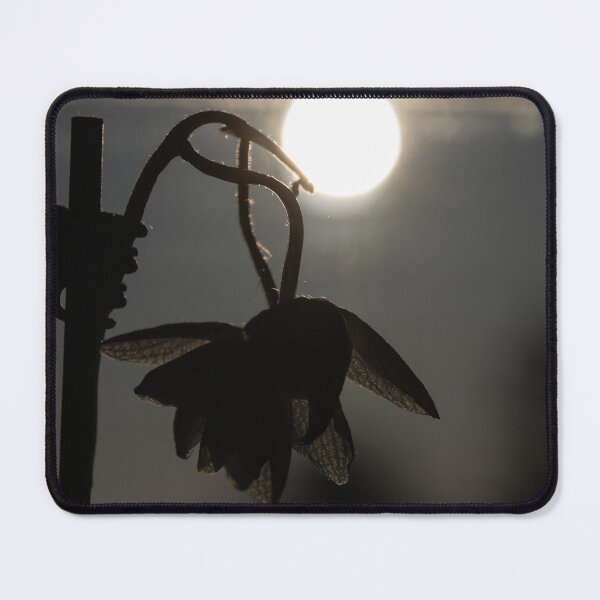 Item preview, Orchid designed and sold by Calidris Fotografie Steffi & Ben Köppler.