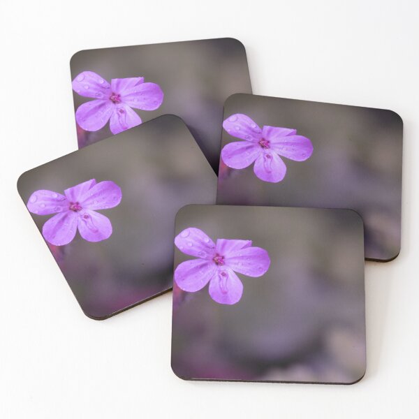 Item preview, Herb Robert designed and sold by Calidris Fotografie Steffi & Ben Köppler.