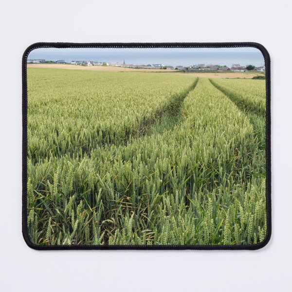 Item preview, Castlerock Wheat designed and sold by Nigel R Bell Photography.