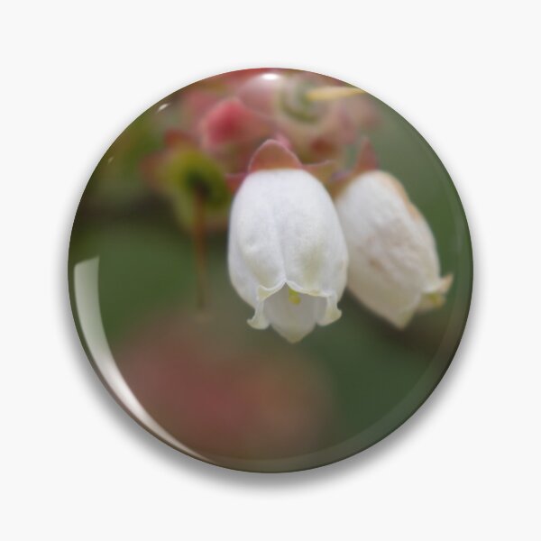 Item preview, Common bilberry blossom designed and sold by Calidris Fotografie Steffi & Ben Köppler.