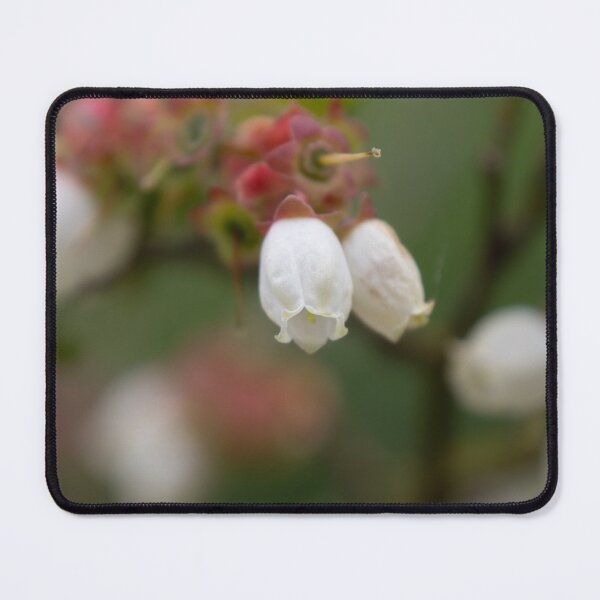 Item preview, Common bilberry blossom designed and sold by Calidris Fotografie Steffi & Ben Köppler.