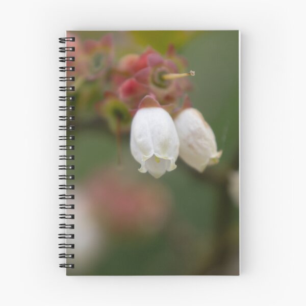 Item preview, Common bilberry blossom designed and sold by Calidris Fotografie Steffi & Ben Köppler.