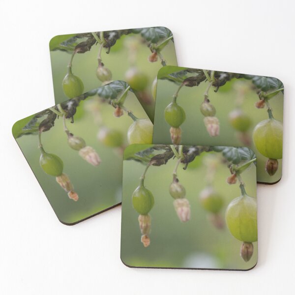 Item preview, Gooseberries designed and sold by Calidris Fotografie Steffi & Ben Köppler.