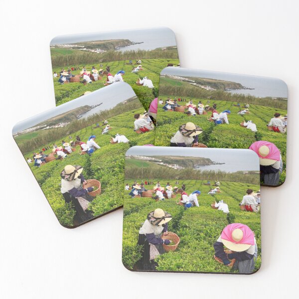 Item preview, Porto Formoso tea gardens designed and sold by Gaspar Avila.