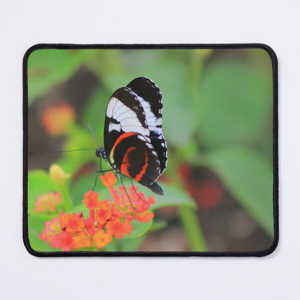 Item preview, CYNDO LONGWING designed and sold by adumont1.