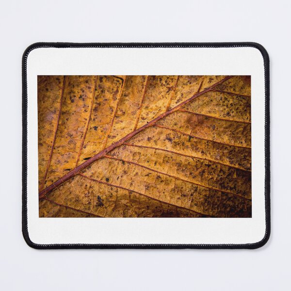 Item preview, Gold Leaf designed and sold by Nigel R Bell Photography.
