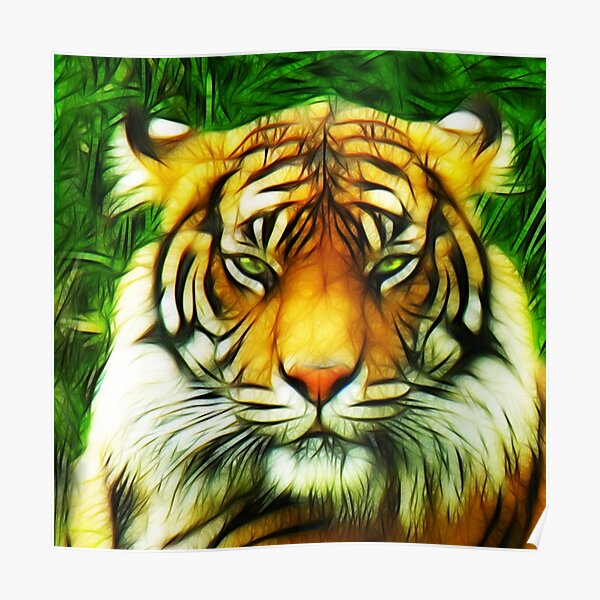 Tiger is Not Amused Poster