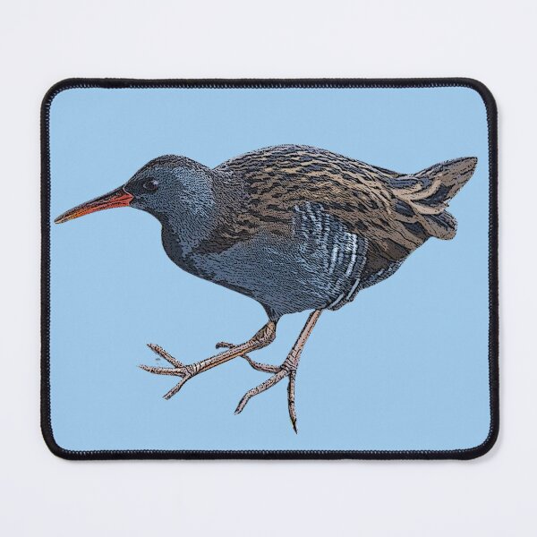 Item preview, Water Rail Color Design designed and sold by designsasstultd.