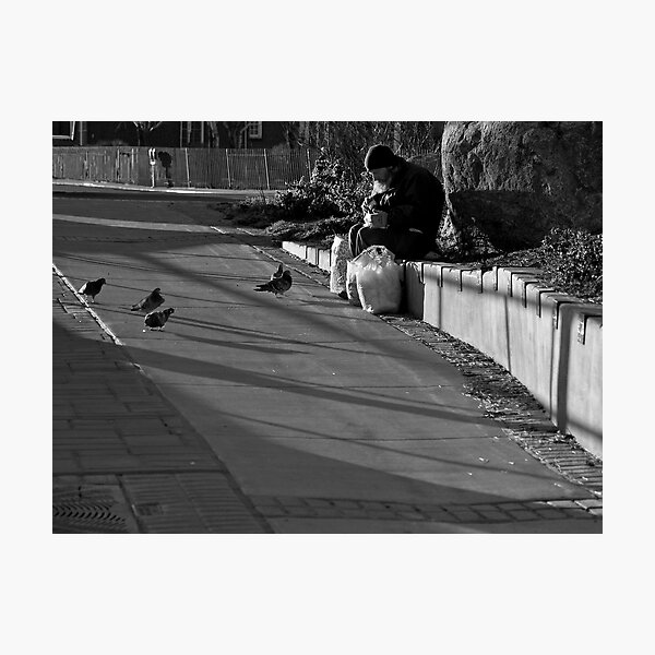 Bob's Birds Photographic Print