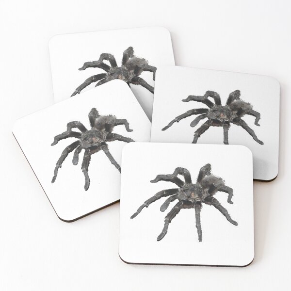 Item preview, Black Spider Migala designed and sold by HenryLt4.