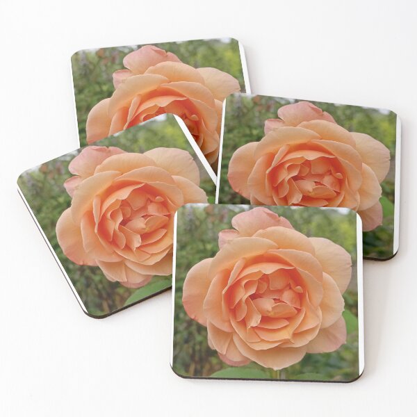 Item preview, Rose  designed and sold by Oubaitory.