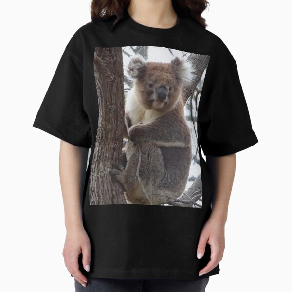 Item preview, Koala Snuggled In A Tree - Australia designed and sold by exploramum.