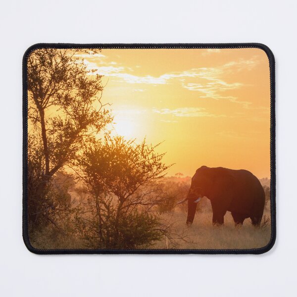 Item preview, Elephant Sunset designed and sold by MyAfricanSafari.