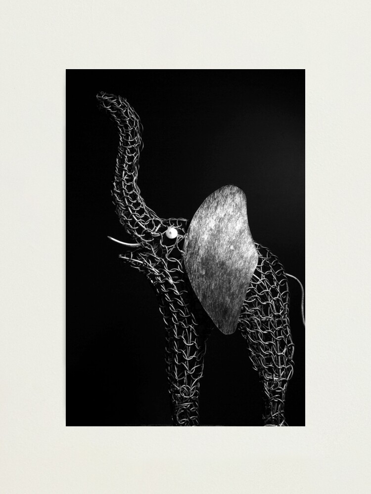 Alternate view of Magelle Photographic Print
