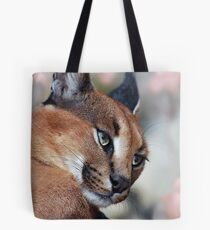 Cougar Tote Bag