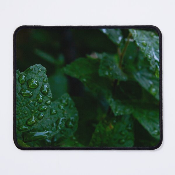 Item preview, Summer Showers designed and sold by Robert Fleetwood.