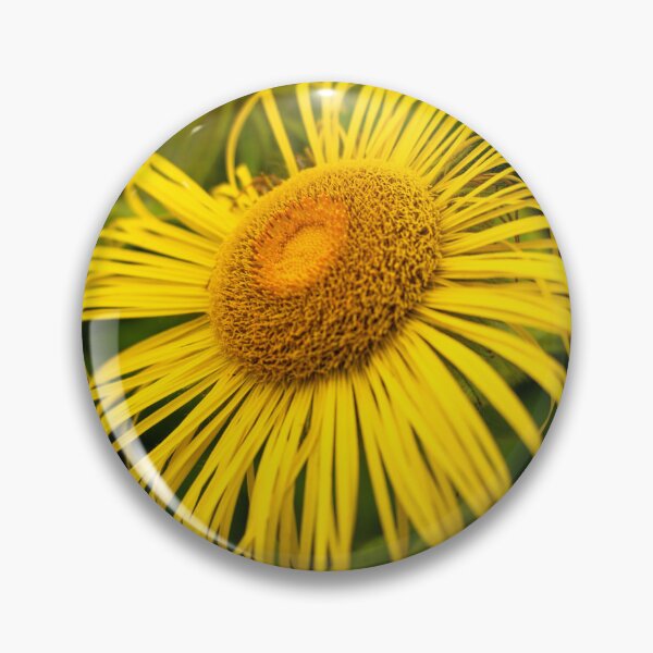 Item preview, Beautiful Large Yellow Daisy Flower Closeup designed and sold by Harmony Of The Mind.