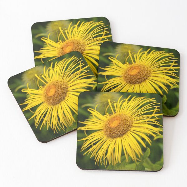 Item preview, Beautiful Large Yellow Daisy Flower Closeup designed and sold by Harmony Of The Mind.