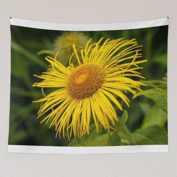 Item preview, Beautiful Large Yellow Daisy Flower Closeup designed and sold by Harmony Of The Mind.