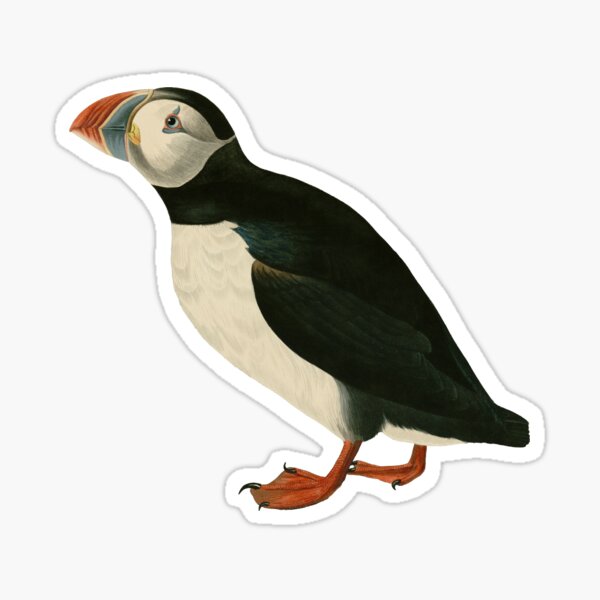 Item preview, Vintage Puffin Illustration designed and sold by BeaSchoney.